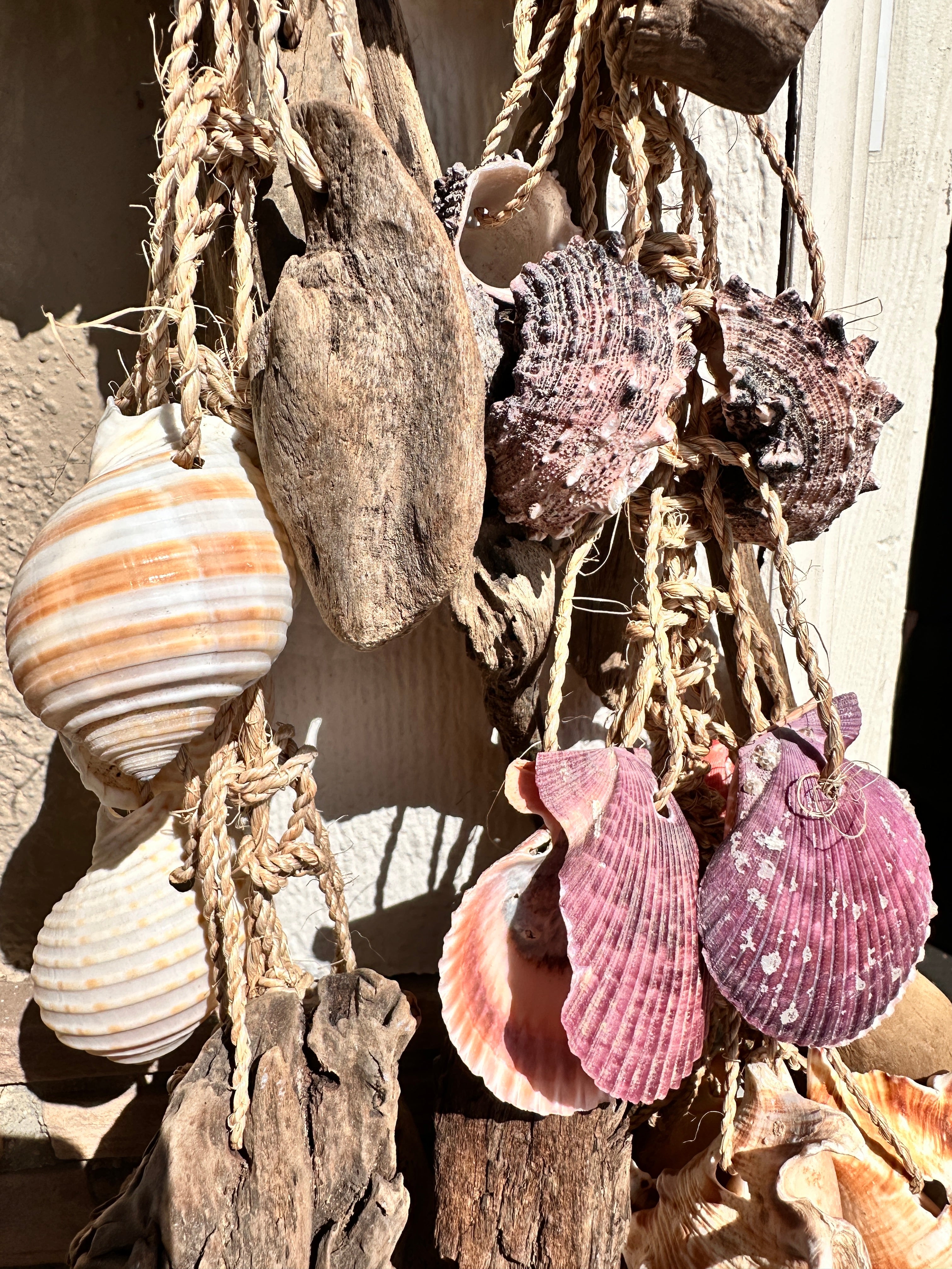 Shells