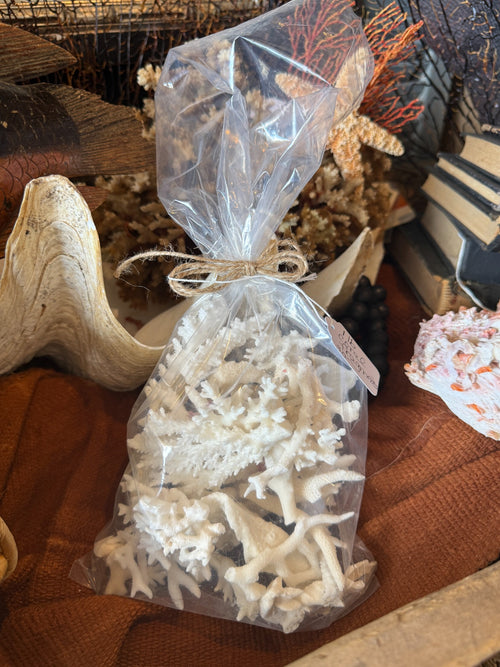 1 lb Bag of Assorted White Coral Fragments