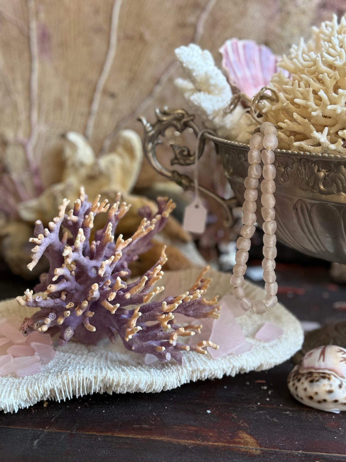 Coral